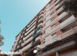 1F6A5039